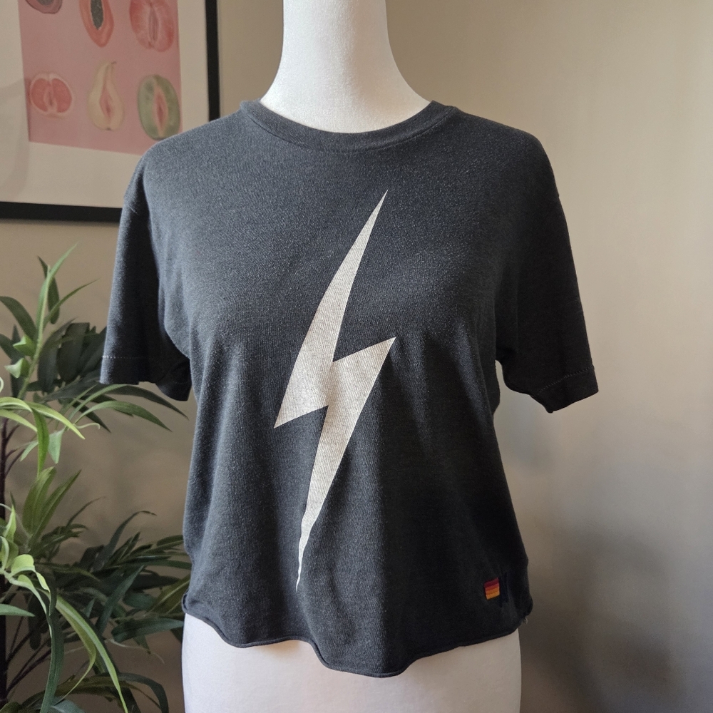 AVIATOR NATION Bolt Boyfriend Tee Charcoal Gray S $83 Cropped